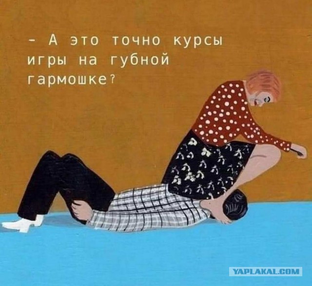 Забавные шутки, фразы, картинки из этих ваших интернетов