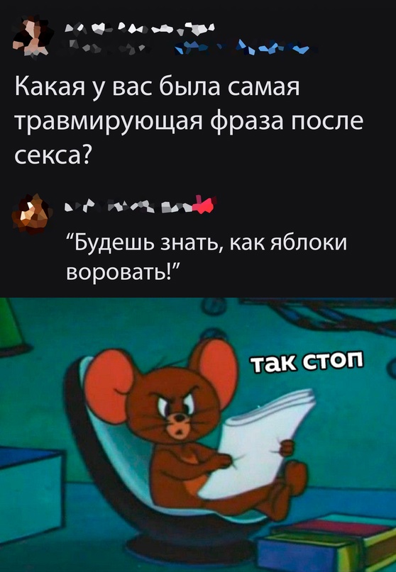 Весёлый полтишок 08.08.22