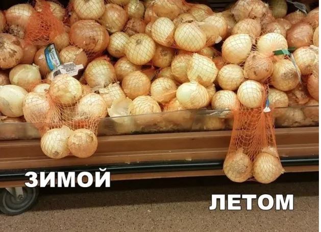 Весёлый полтишок 18.08.22