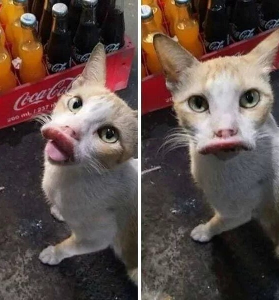 Это срочно!