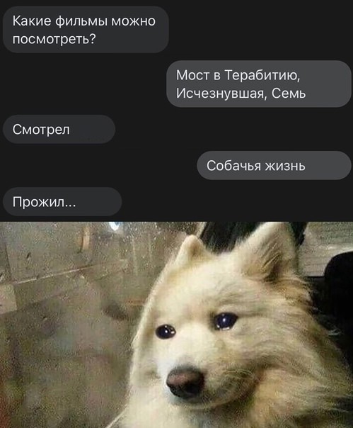 Картинки и мемы, всем хороших выходных