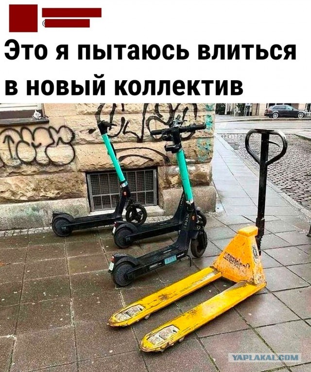 Так себе картинки 08.10.22