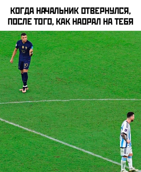 Весёлый полтишок 21.12.2022
