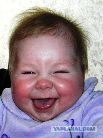 Должны ли уступать дорогу автобусу?