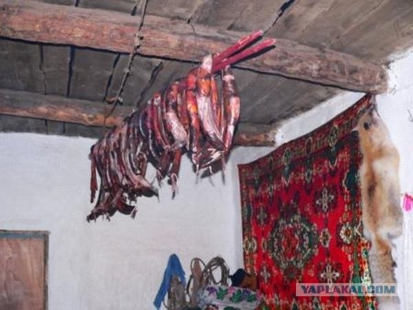 Убежим от кризиса (10 фото)