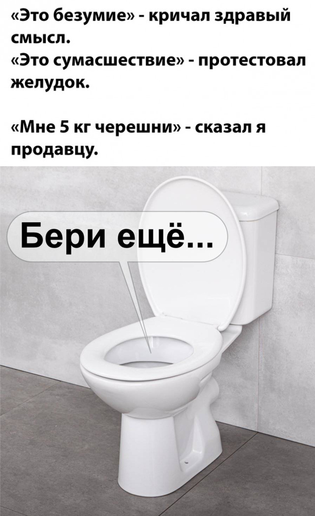 Весёлый полтишок 08.07.23