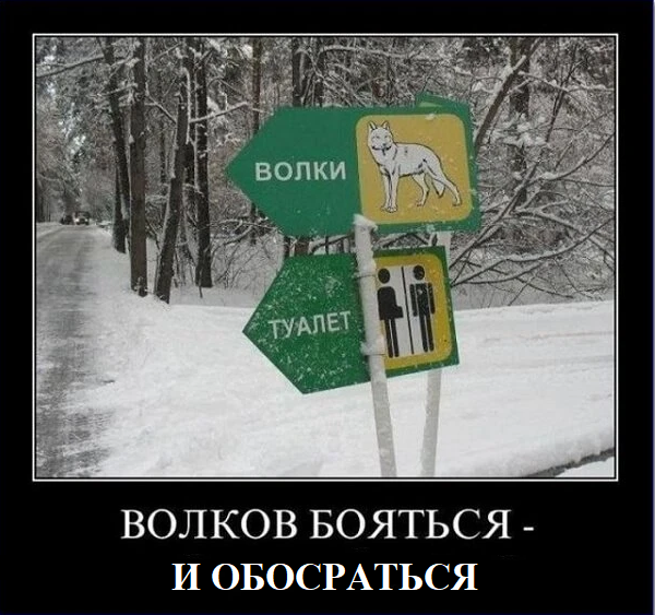 Баян Чемоданов