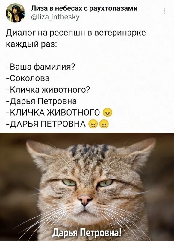 Так себе картинки 17.10.23