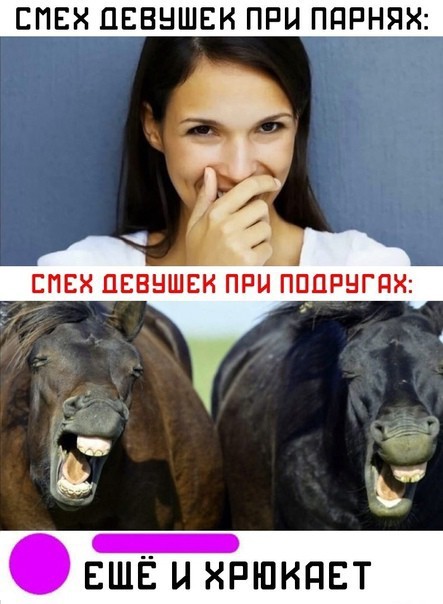 Забавные комментарии из социальных сетей 06.11.23