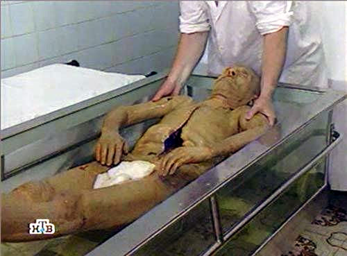 Почему мы так дурно живём?