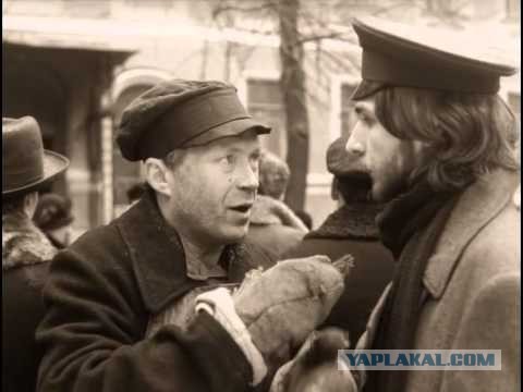 В Иркутске мужчина выбросил собаку с 17-го этажа, потому что она ему надоела