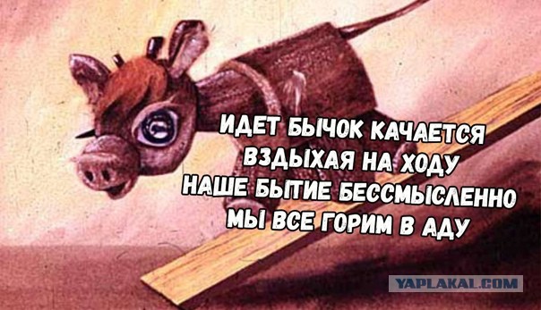 Все куда-то пошли