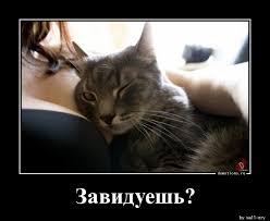 В Госдуму внесли законопроект, запрещающий деятелям шоу-бизнеса «непристойные образы и выражения»