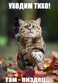 Иногда VK доставляет...