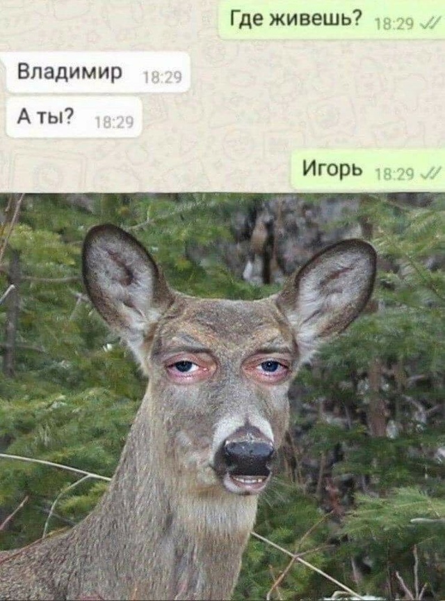 Среда пришла - неделя прошла, дорогие деграданты