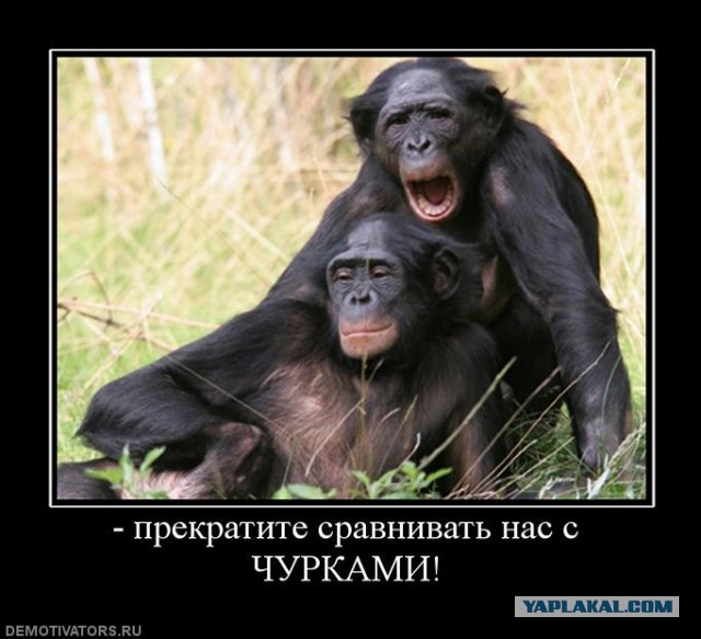 Знакомьтесь, Авакян Эрик Виленович - кормилец