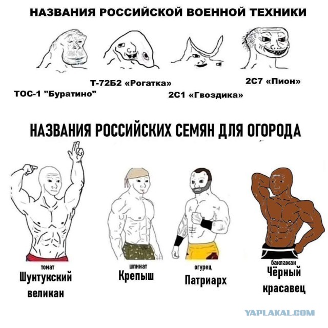 Картинки веселые