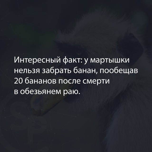 Отборные баяны 10-летней выдержки - RELIGION Edition