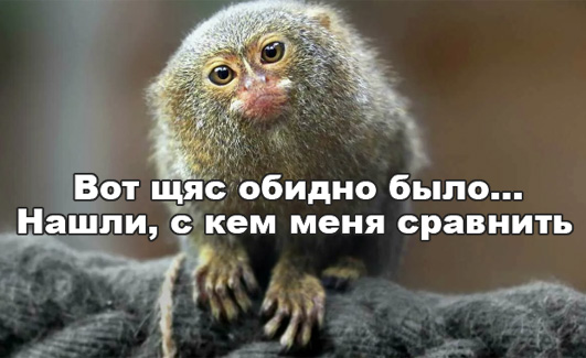 Всякое разное.