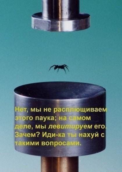 Веселое настроение в картинках (11.08.2025)
