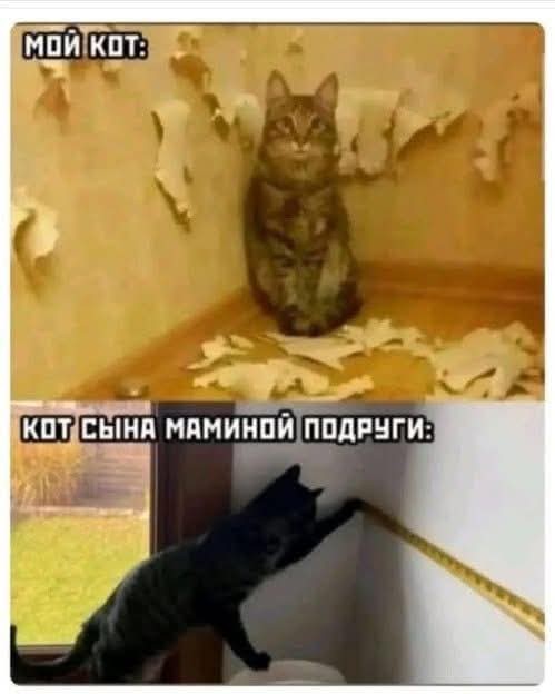 Картинки для деградации 26 (разной степени свежести)