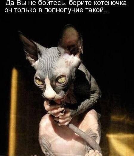 Выбрал раба