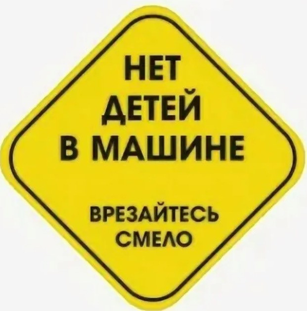 В Подмосковье женщину оштрафовали за наклейку с ультраправой организацией «Пит Буль»* на авто.