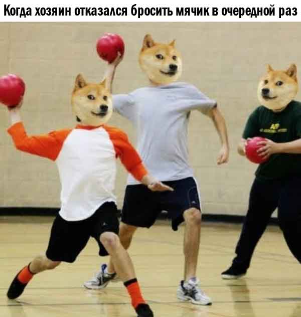 Так себе картинки 29.12.25