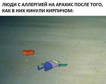 Ты чего избу не строишь?