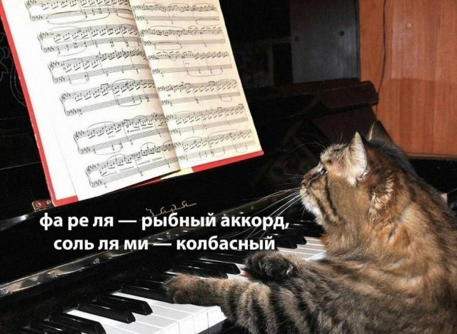 Доверили опять