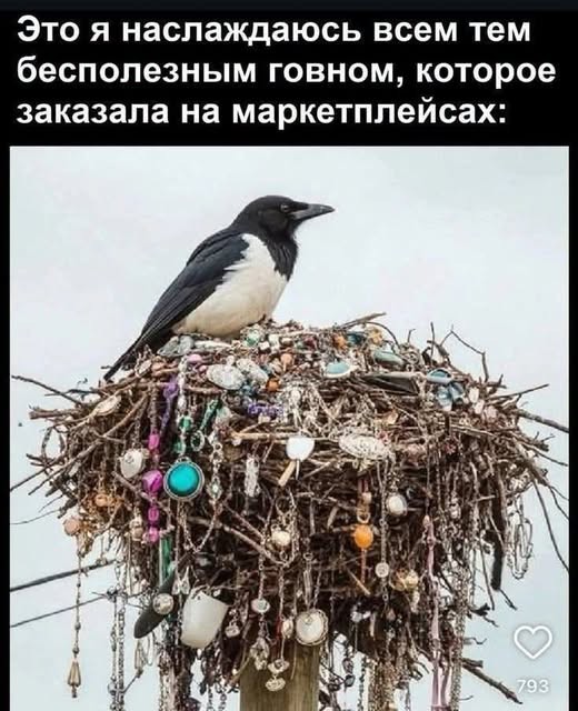 Картинки на среду