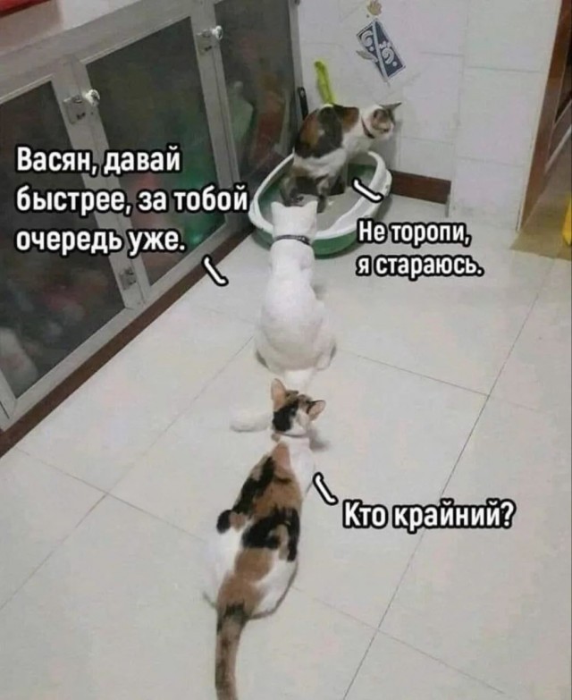 Так себе картинки 24.07.26