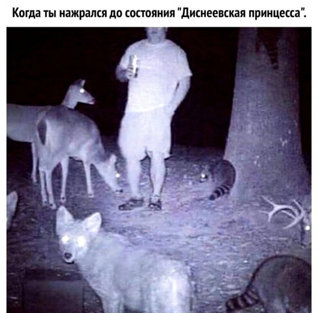 Картинки для деградации 258 ( разной степени свежести)