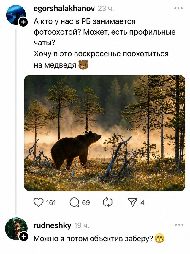 Российские регионы хотят экстренно избавиться от 100 тысяч медведей