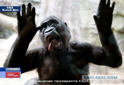 Янукович в реанимации