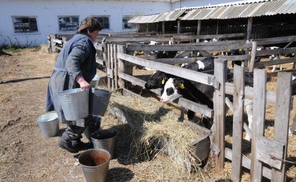 В Украине началась посевная