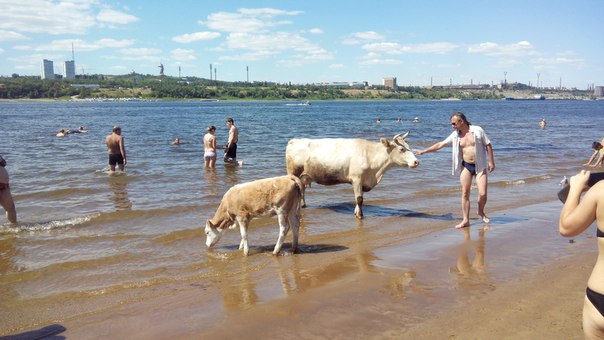Телочки на пляже 18+
