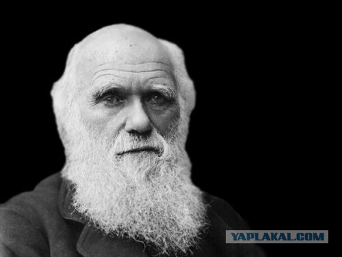 Тверские школьницы настолько....суровы