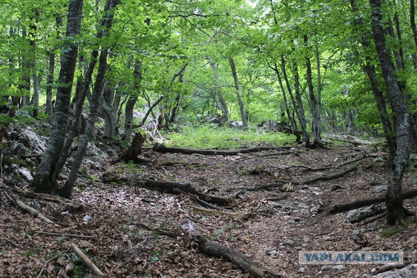 Дорога из Киева и из Москвы в Ялту.