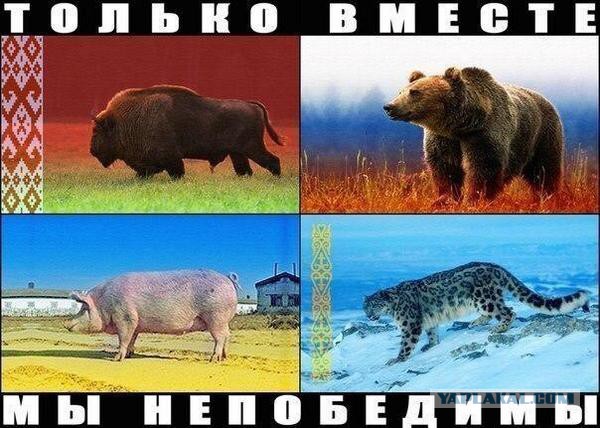 США не смогли победить в Украине