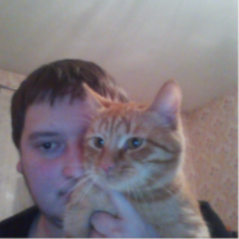 Мой пропавший Кот