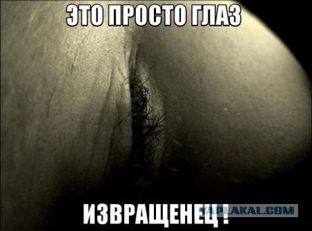 Веселые картинки
