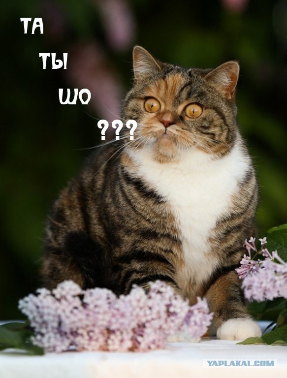 Так..картинки на понедельничек))