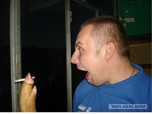 Немного людей из сети