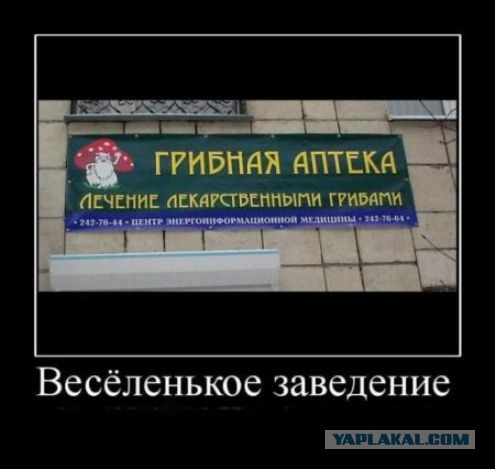 Любимая ГРИБОСРЕДА – опять нас радует всегда!