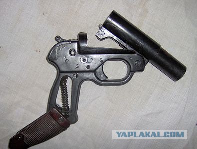 Японский боевой куст