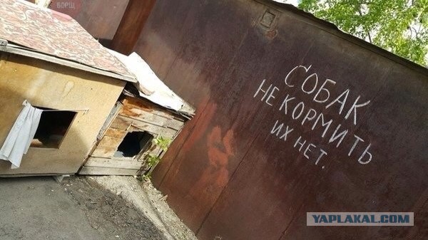 Веселости