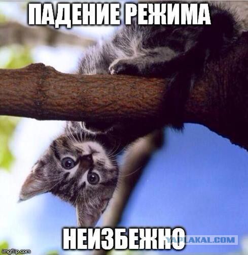 «Правый сектор» захватили власть во Львове