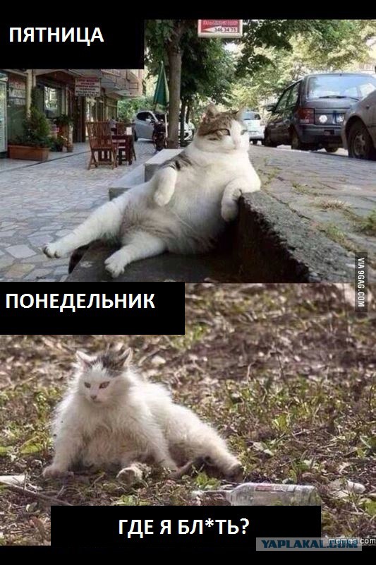 Wargaming 27