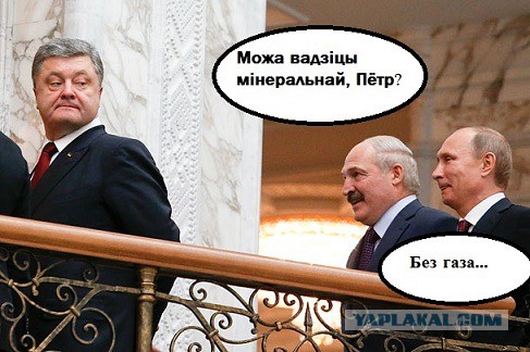 Порошенко и Путин пожали друг другу руки